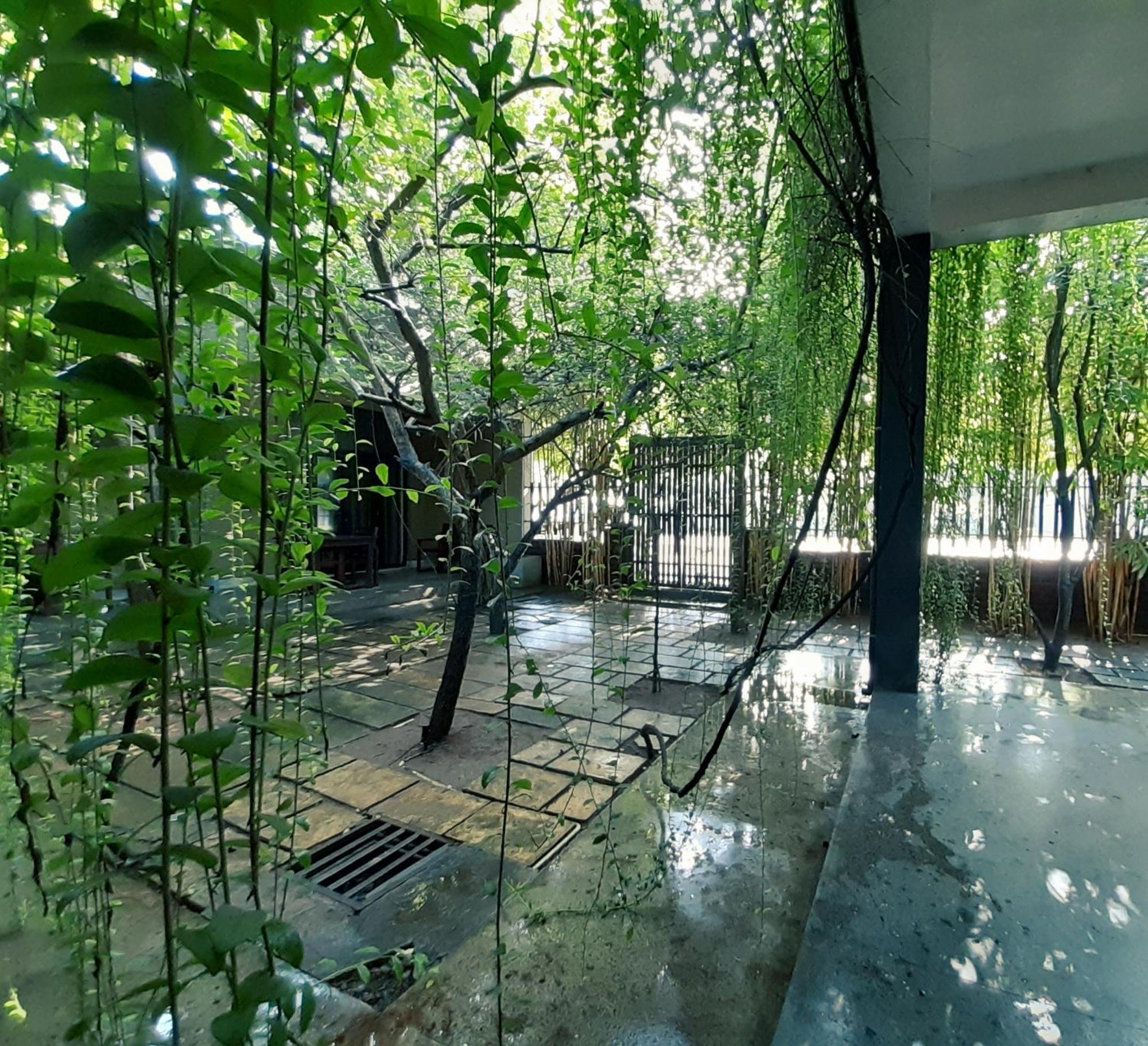 Isi Arana Eco Villa Anuradhapura Buitenkant foto